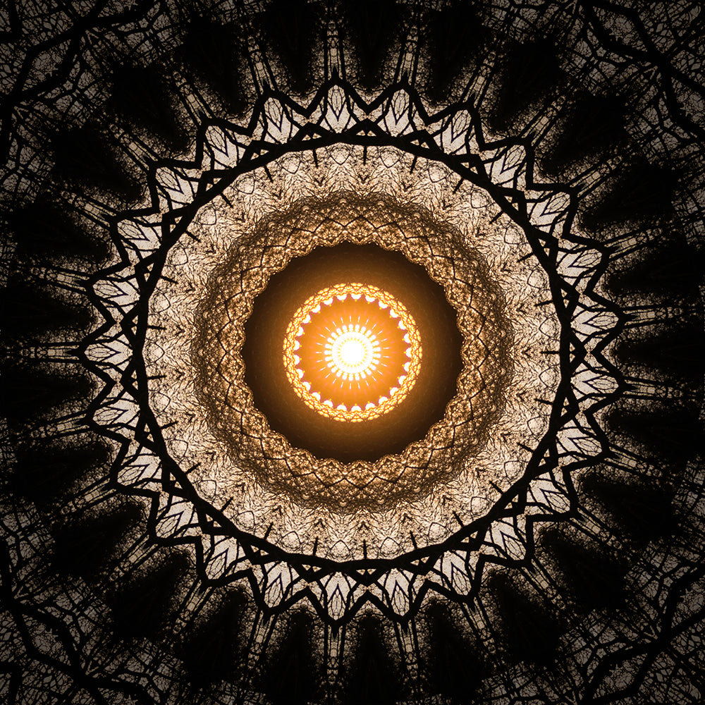 Fractal Worlds