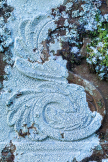 Llananno Lichen