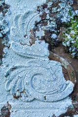 Llananno Lichen